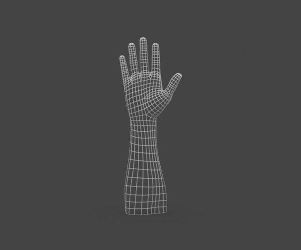 ArtStation - HAND.006 Rigged Hand | Game Assets