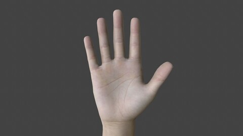 HAND.006 Rigged Hand