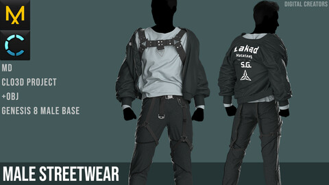 Male Streetwear. Marvelous Designer / Clo 3D project +obj