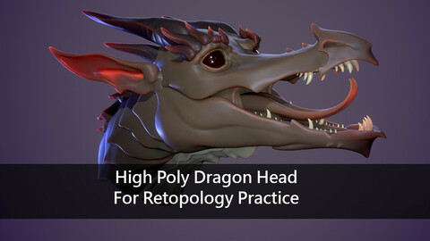 High Poly Dragon Head For Retopology Practice
