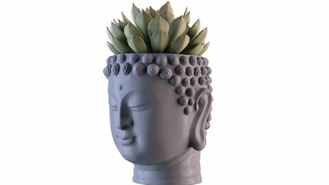 Head Buddha Vase