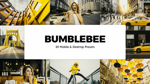 20 Bumblebee LUTs and Lightroom Presets