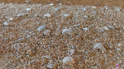 PBR - BEACH SAND 2, SHELLS, PEBBLES, ROCKS - 4K MATERIAL