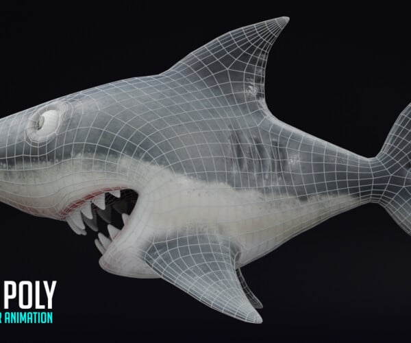 ArtStation - Shark Rigged and Animation in Blender