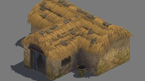 Large House - House 03