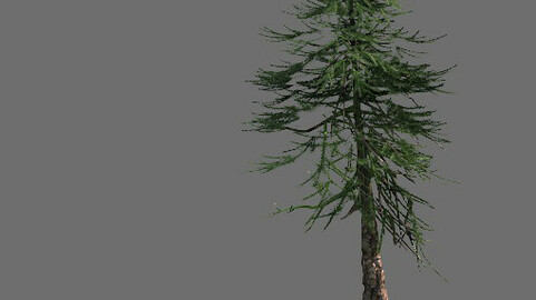 Game Model - Alpine - Pines 02