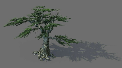 Game Model - Alpine - Pines 04