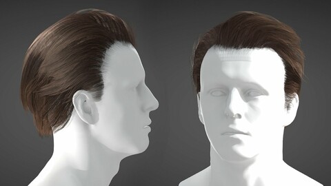 Realtime Male Hairstyle - Long 02 - Game Ready PBR Low Poly Model