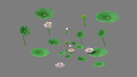 Lake - Lotus 01