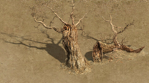 Barracks - desert Dead tree 01