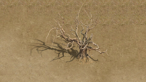 Barracks - desert Dead tree 02