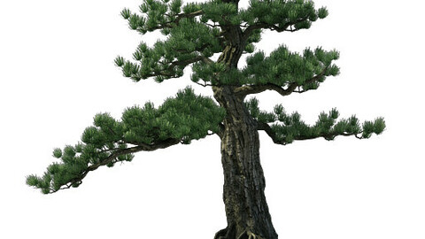 Alchemy - experience tree