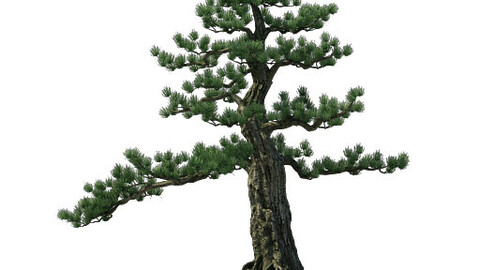 Alchemy - experience tree 02