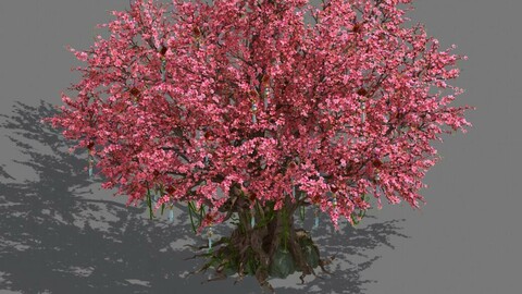 Daughter village plant - center big peach tree 01