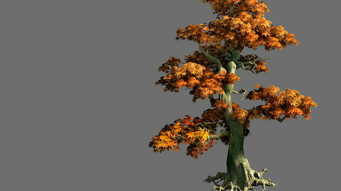 Game Model - Forest - Maple Tree 9