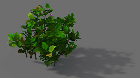 Game Models - Forest - Shrubs 12