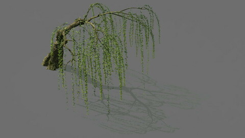 Game Model - Forest - Willow 01