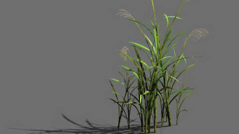 Game Model - Forest - Grass