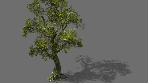 ArtStation - Game Model - Forest - Tree 01 | Game Assets