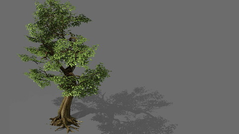 Game Models - Forest - Trees 06