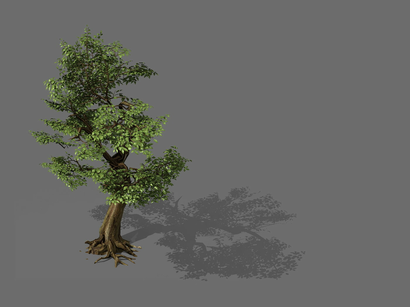 Tree 6. 3 D модель Форест. Maya 3d модель леса. The Forest 3д модель. 3д модель леса с сеткой.