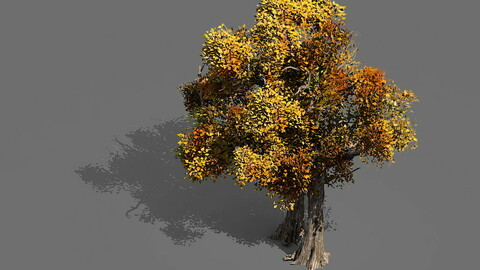 Game Models - Forest - Trees 08