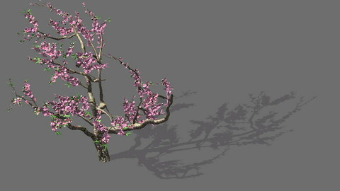 Game Model - Forest - Peach Tree 01