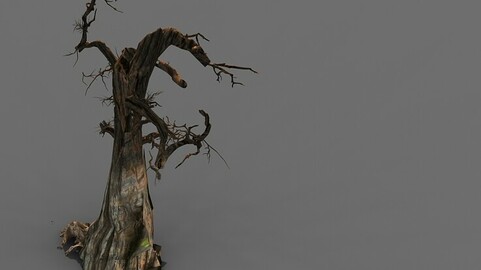 Game Model - Desert - Deadwood 10