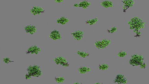 Lion camel - mountain cliff plant 01