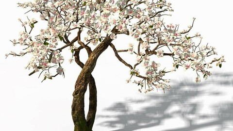 Peach Blossom Island - Trees 06