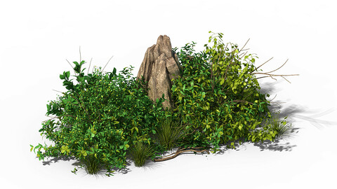 General plant - flowers 37