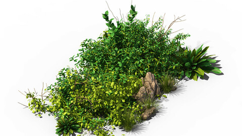 General plant - flowers 38