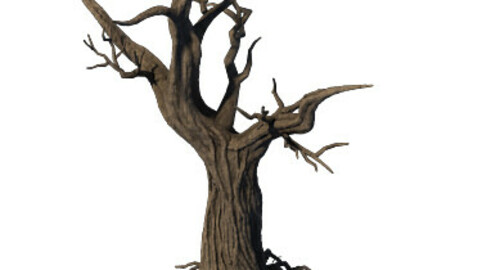 General Plant - Trees 04