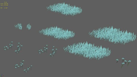 Snow Plant - Flowers 61