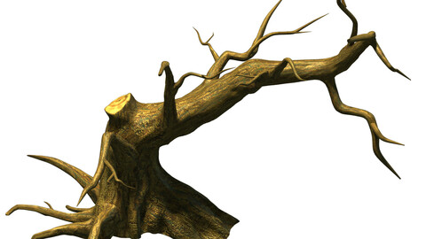 Fairy town - dead tree 4