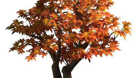 Game Model - Maple 015
