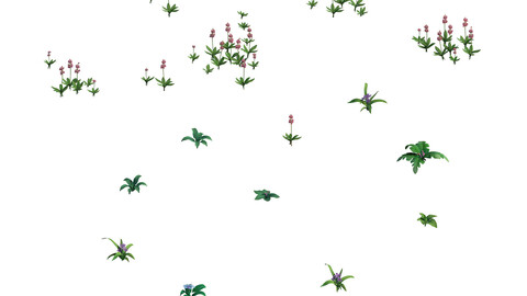 Game Plants - Flowers 271
