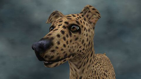 MDGH.007 Rigged Dog