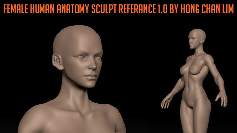ArtStation - Female Anatomy Sculpting: Step-by-Step Guide in ZBrush