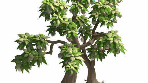 Plant model - peach tree 272