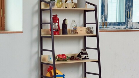 Lennon 4-Step Ladder Bookcase 2colors