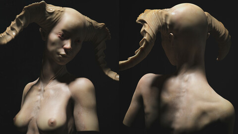Faun 2