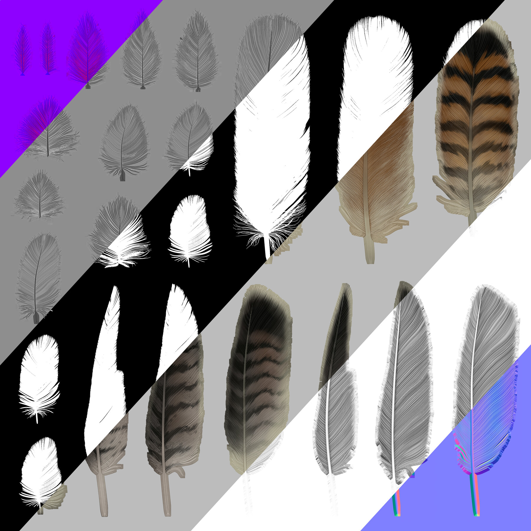 ArtStation - Red-Tailed Hawk Feathers Texture Pack | Resources