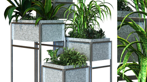 plant in box set 081