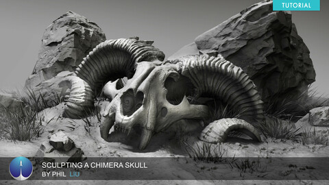 Sculpting a Chimera Skull | Phil Liu