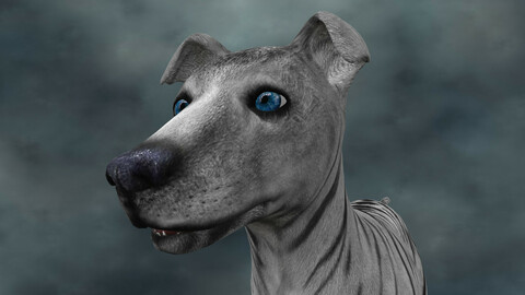 MDGH.011 Rigged Dog