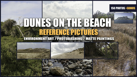 Dunes on the beach from Valencia coast - REFERENCE PICTURES