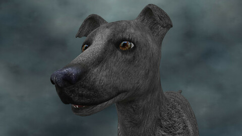 MDGH.020 Rigged Dog