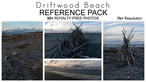 Reference Pack - Driftwood Beach - 50+ Royalty Free Photos