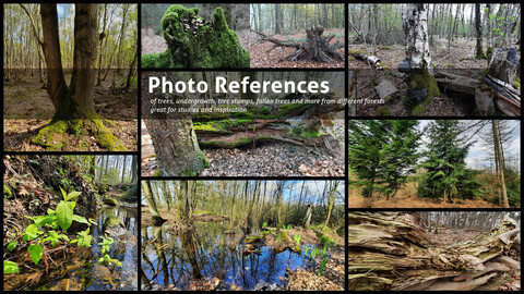 Nature  Reference Pack 700+ Photos